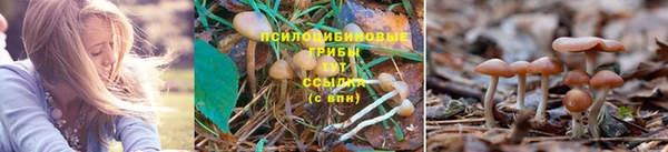 кокаин премиум Арсеньев