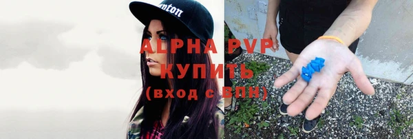 apvp Аркадак