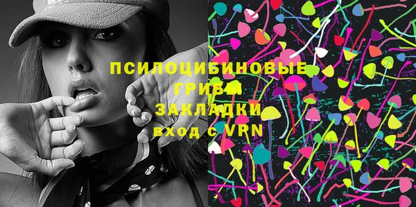 apvp Аркадак