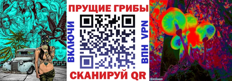 Галлюциногенные грибы Cubensis  Цимлянск 