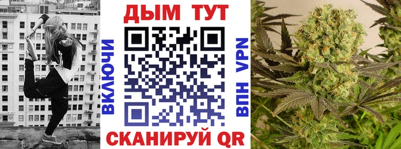 продажа наркотиков  Цимлянск  Шишки марихуана гибрид 